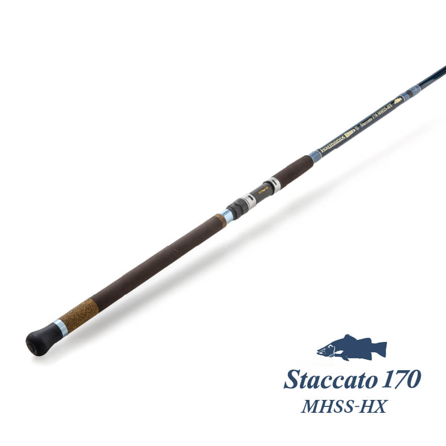 Staccato 170 MHSS-HX