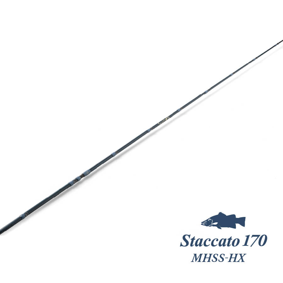 Staccato 170 MHSS-HX