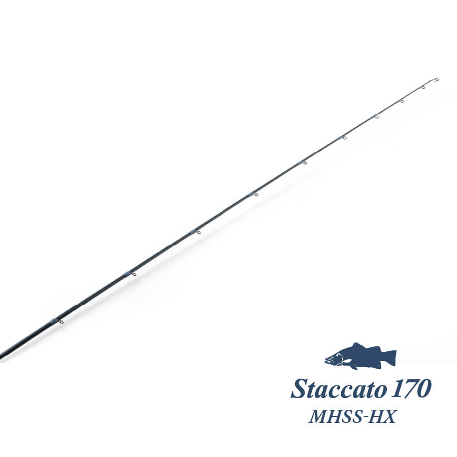 Staccato 170 MHSS-HX