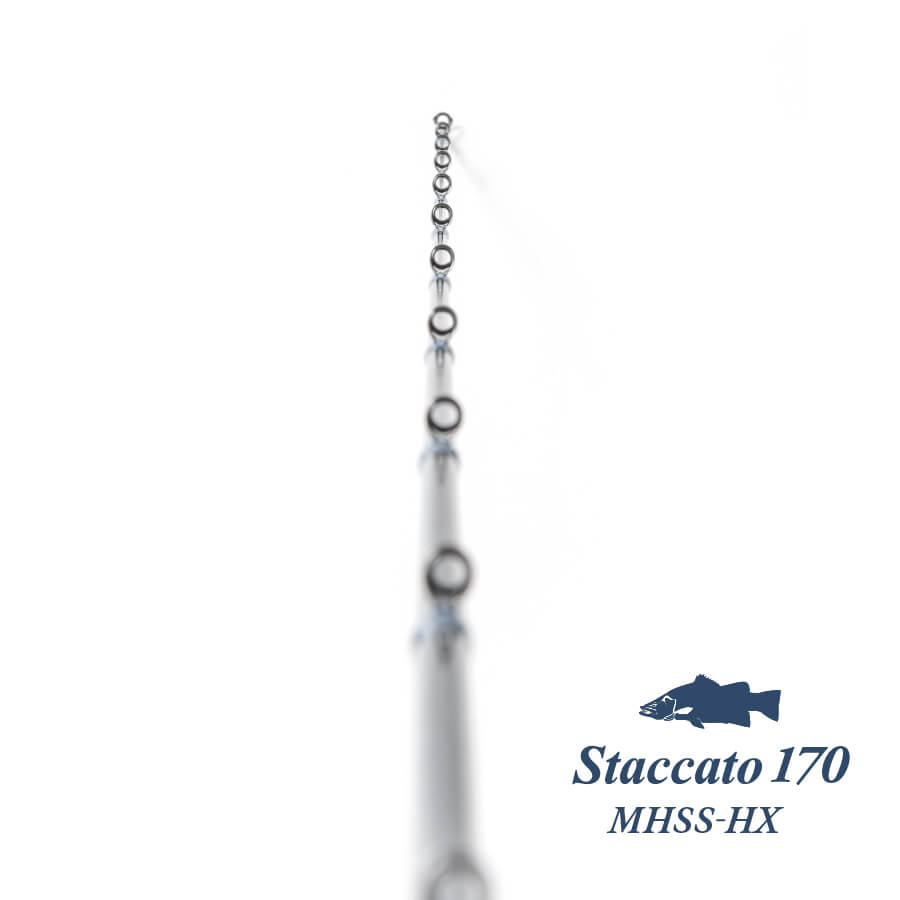 Staccato 170 MHSS-HX