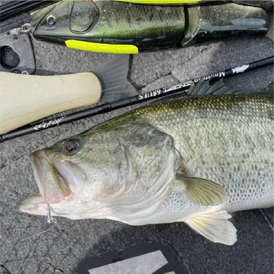 モンストロ コンセプトD 68ULS 【Monstruo 68ULS】 TULALA | Ford every stream | » 【公式】TULALA2024新製品