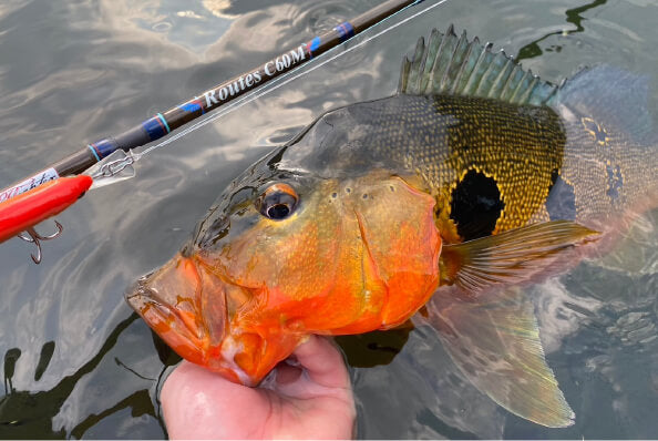 Routes C60M ルアーロッド ロッドケース付き Routes C60M ルアーロッド ロッドケース付き