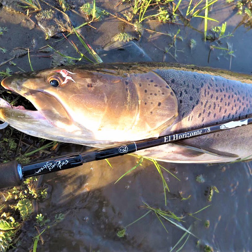 El Horizonte 78 – TULALA online store