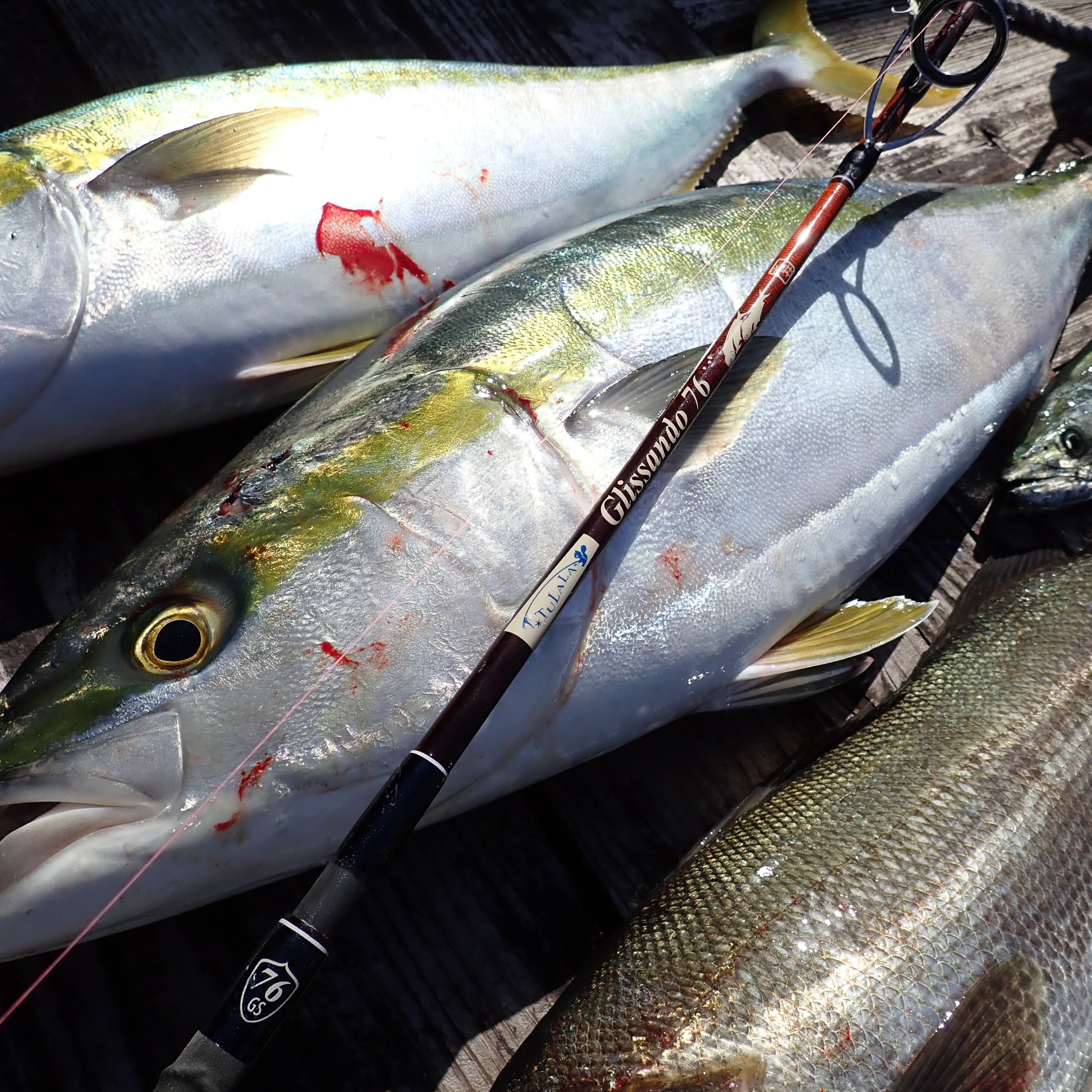 Glissando76 – TULALA online store